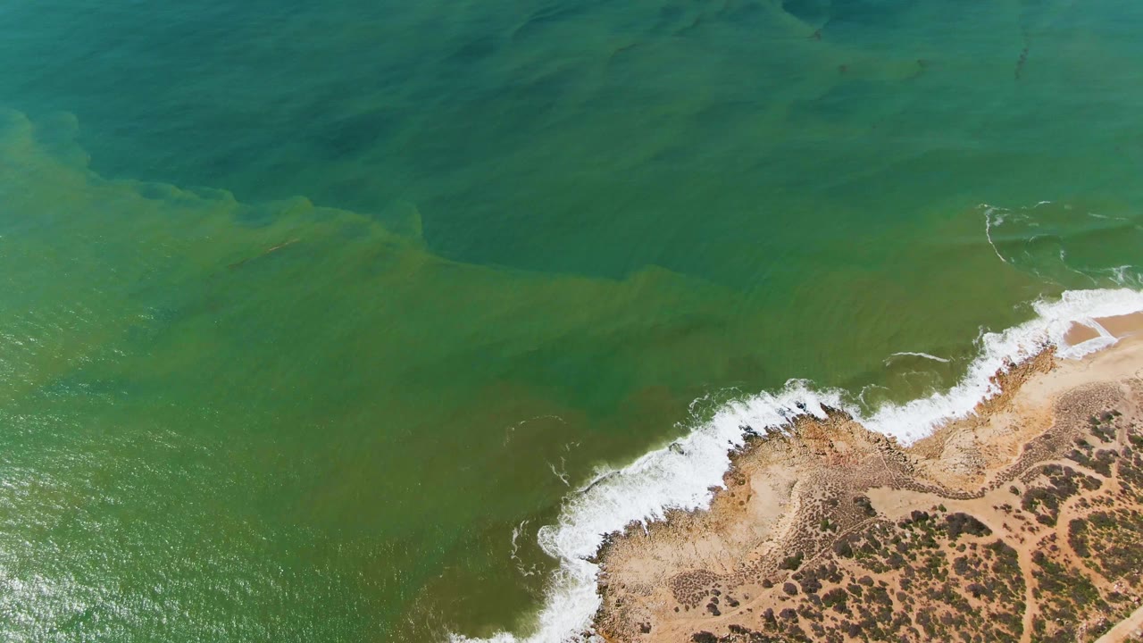 Overhead view of Buzzards Beach East Cape BCS Mexico where white foam meets tan shore and darker scrub patches appear along the lower right with no visible people.