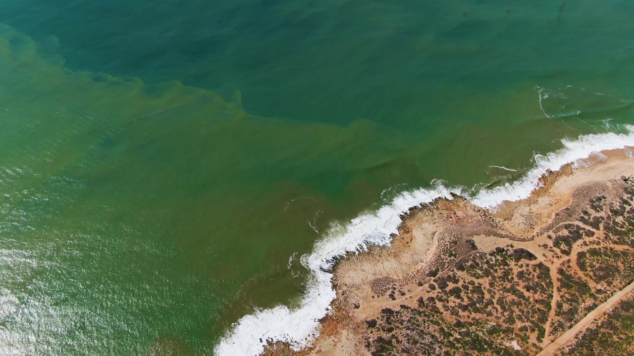 Overhead view of Buzzards Beach East Cape BCS Mexico, with green ocean water breaking into white foam along a sandy scrub-lined shore and no visible people.