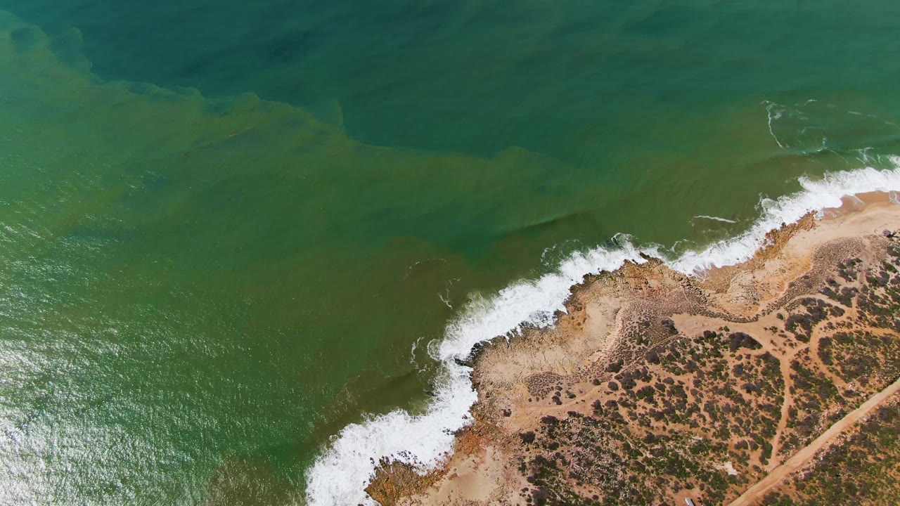 Top-down view of Buzzards Beach East Cape BCS Mexico, showing a broad green water surface, a foamy break, tan beach, scattered scrub, and no visible people.
