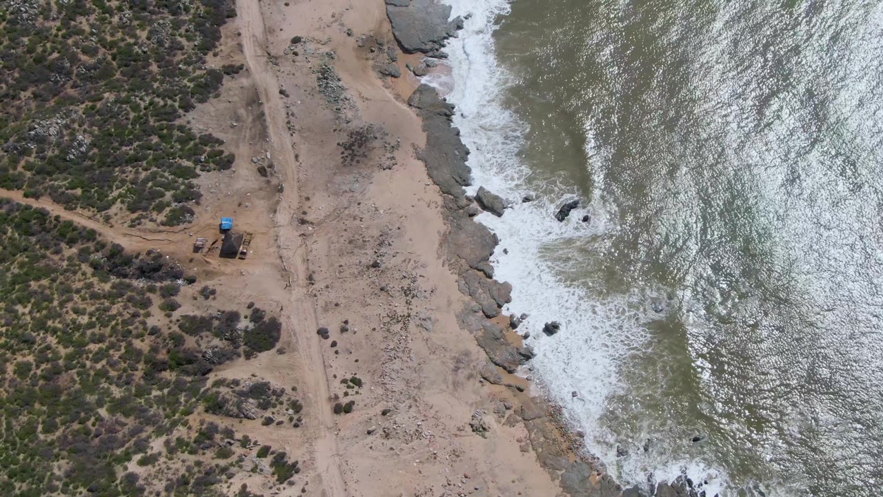 Drone-like overhead view at Buzzards Beach East Cape BCS Mexico with sunlit ripples on green-gray water, fresh foam at the rocks, sandy beach, scrubland, and no visible people.