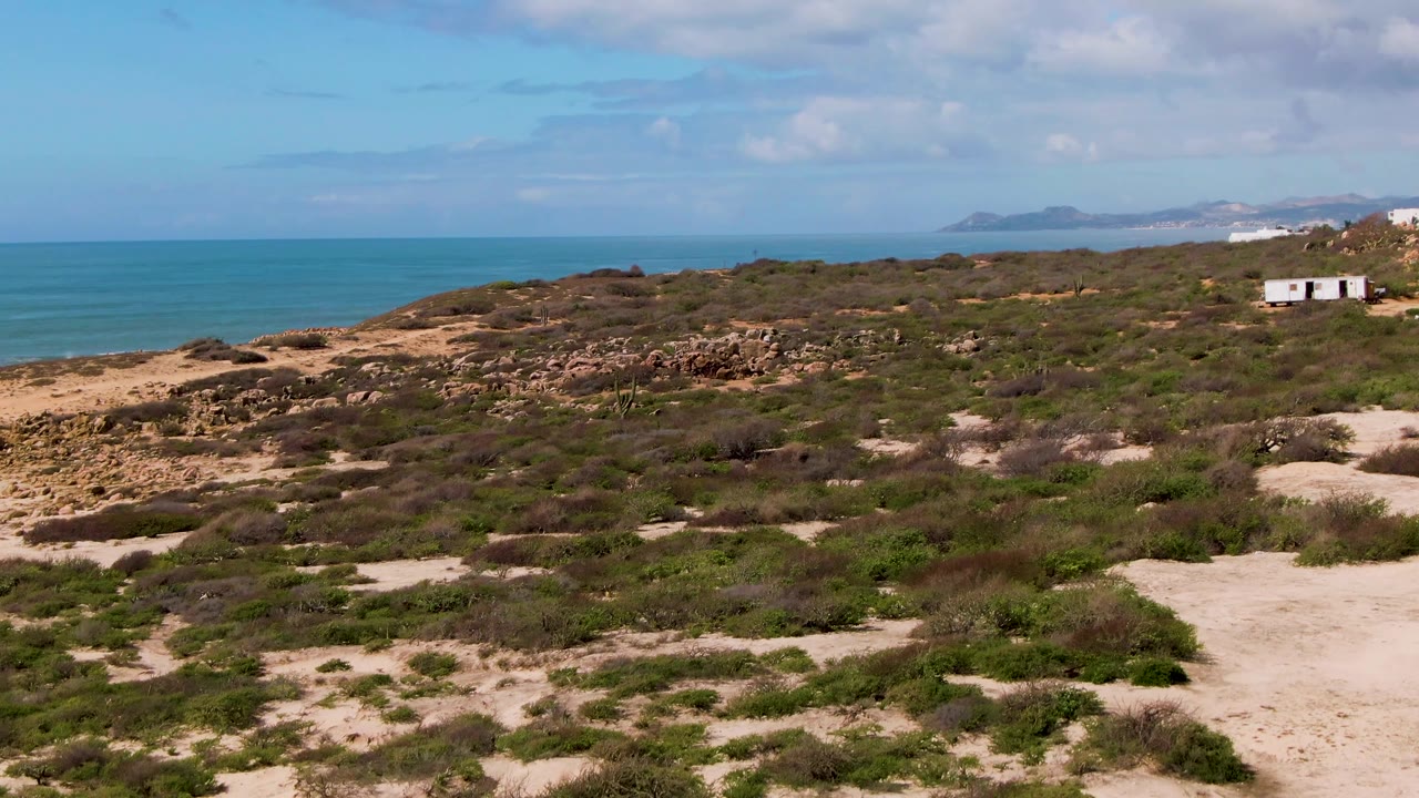 Scrub-covered coastal dunes with blue ocean to the left