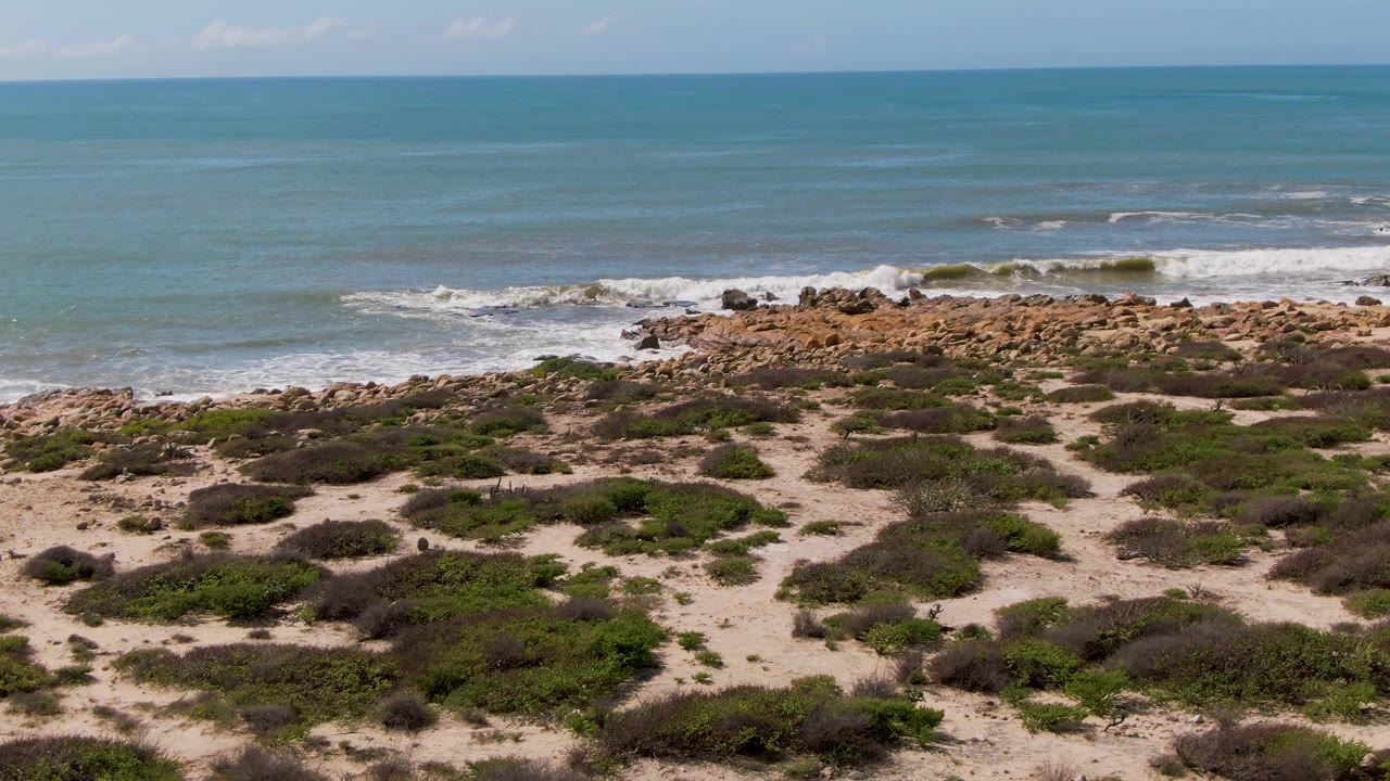 Opening frame of Buzzards Beach East Cape BCS Mexico, with low green dune vegetation in front, a rocky shore at midframe, blue-green ocean beyond, and no visible people.