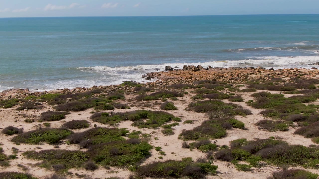 At one second, Buzzards Beach East Cape BCS Mexico shows white waves spreading around the rocky point, with sandy scrubland in the foreground and no visible people.