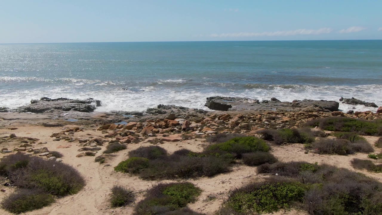 Buzzards Beach East Cape BCS Mexico shoreline with sandy foreground, low coastal vegetation, dark rocks, white surf, blue ocean, and no visible people.