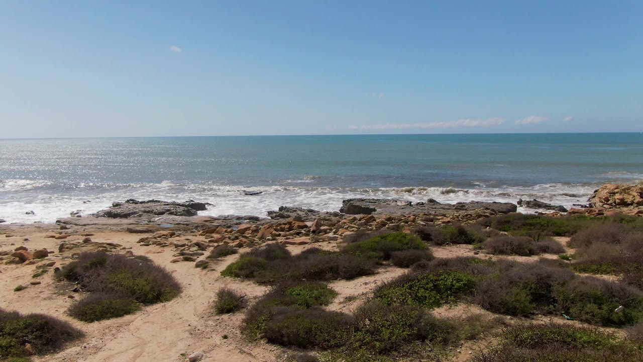 Beach scrub and rocky shoreline with waves breaking near the left side.
