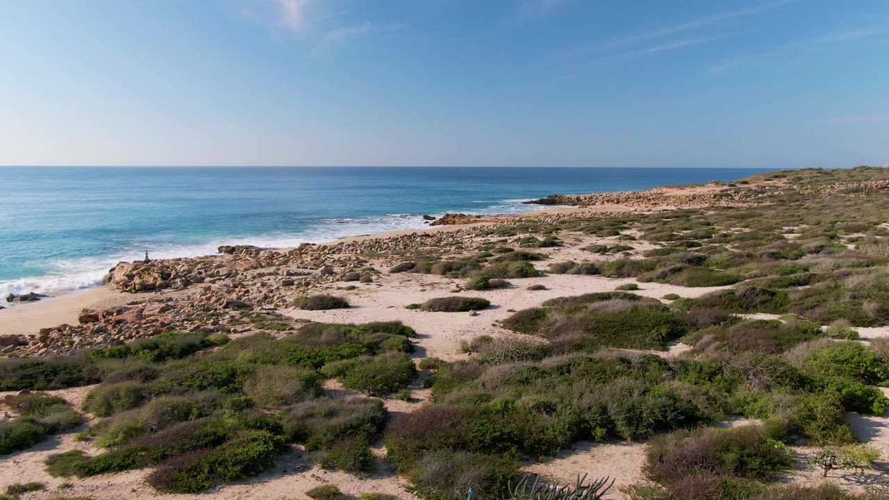 Rocky beach, coastal shrubs, blue ocean, and clear sky