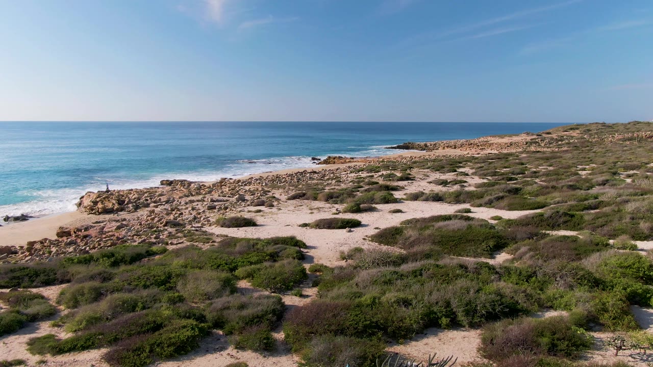 At 0:01, Buzzards Beach East Cape BCS Mexico remains framed from above with pale sand paths, scattered shrubs, tan rocks, white surf, and no visible people.