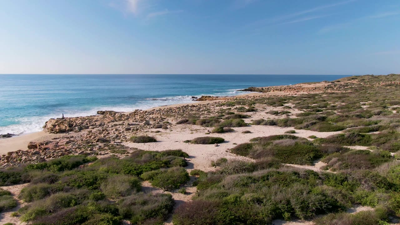 At 0:02, the Buzzards Beach East Cape BCS Mexico shoreline shows broad sandy foreground, patchy vegetation, a rocky point near the surf, blue sea, and no visible people.