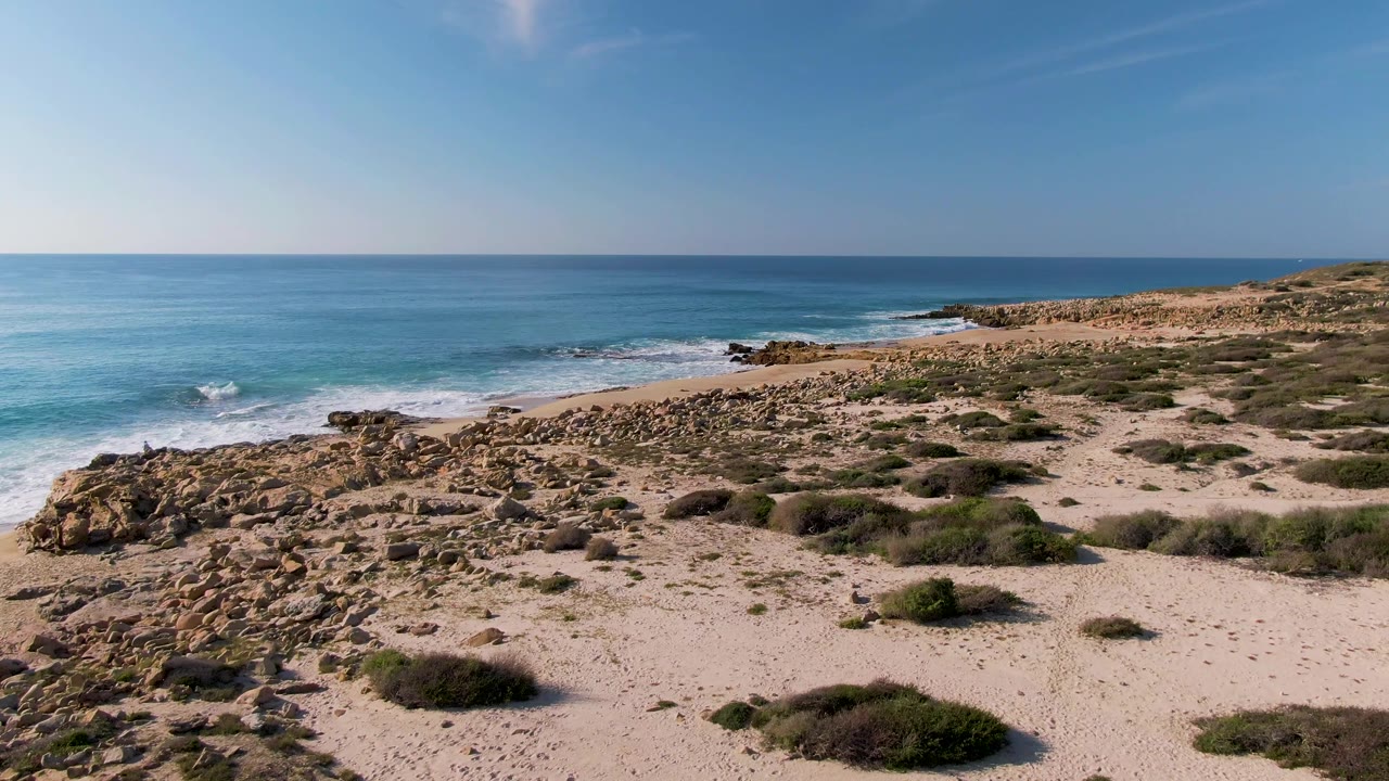 Rocky sandy shoreline with shrubs, blue ocean, and clear sky.