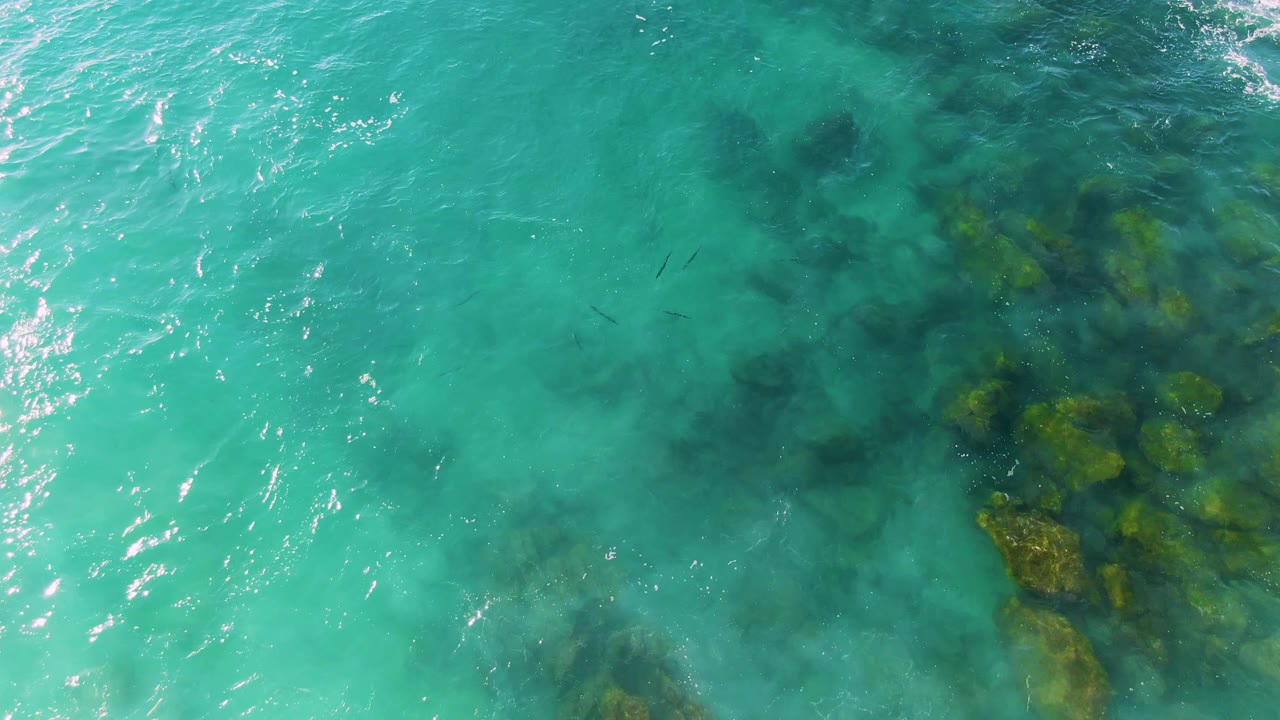 Overhead view of turquoise water at Buzzards Beach East Cape BCS Mexico, with dark submerged rocks beneath the surface and no visible people.