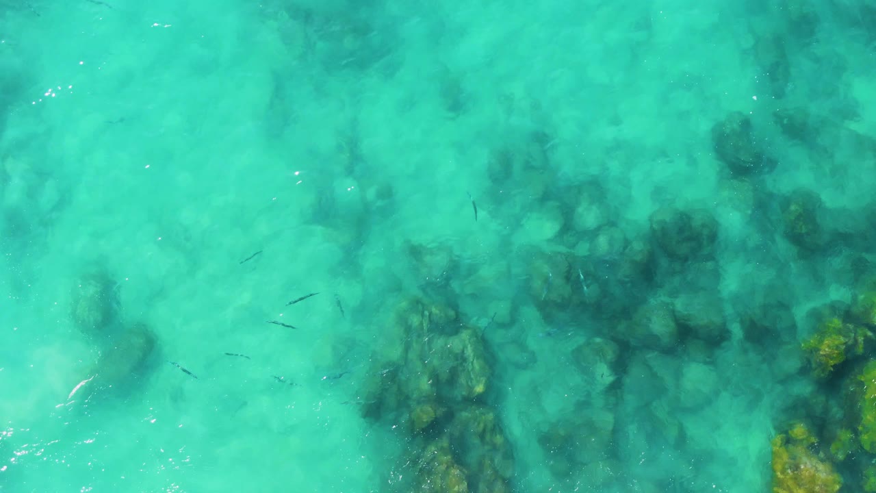 Turquoise water over rocks with small fish