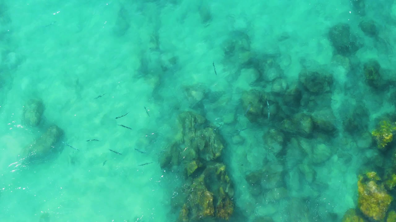 A larger rocky patch sits near the lower left under clear turquoise water at Buzzards Beach East Cape BCS Mexico, with small fish crossing open sandy areas and no visible people.
