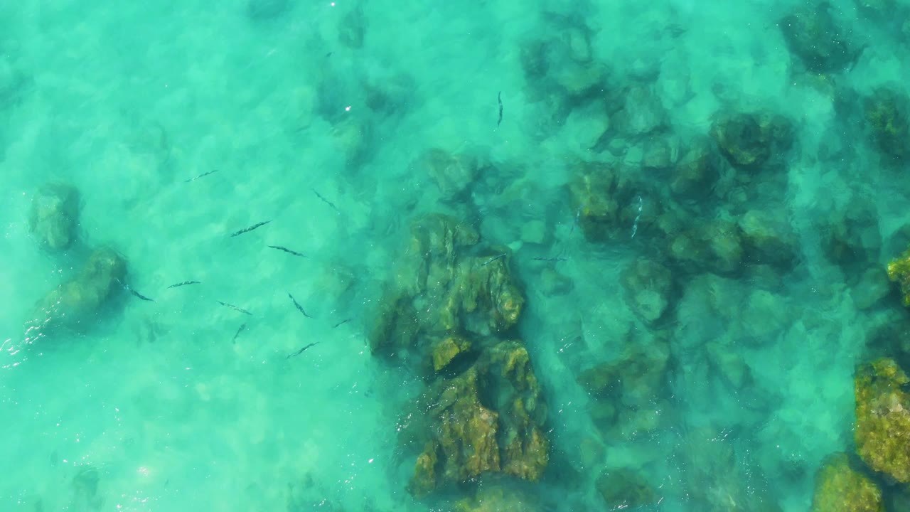 Small fish appear across the center of the frame over dark submerged rocks and pale sandy patches at Buzzards Beach East Cape BCS Mexico, with no visible people.