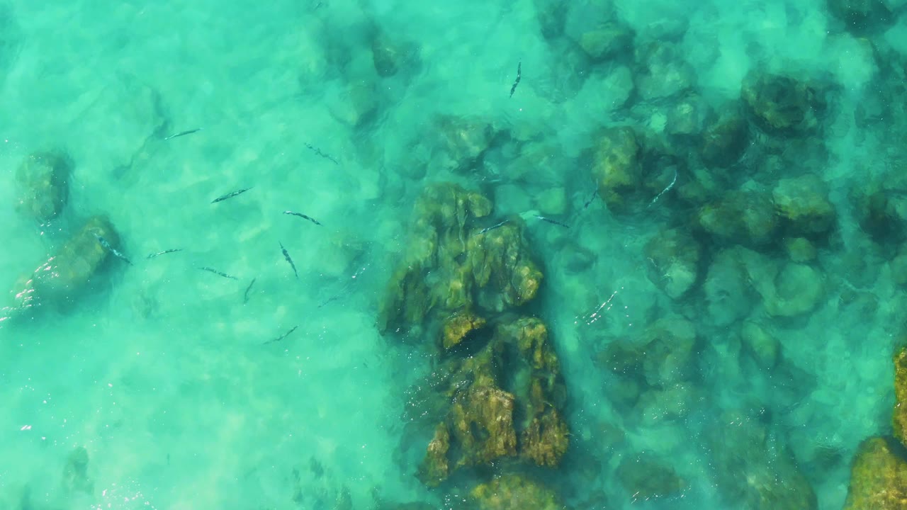 Clear turquoise water covers several rock clusters at Buzzards Beach East Cape BCS Mexico, with a loose group of small fish visible near the left and center and no visible people.