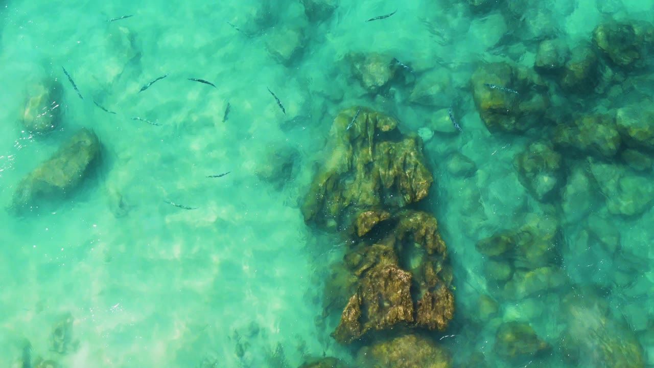 Overhead view of turquoise shallow water at Buzzards Beach East Cape BCS Mexico, with submerged rocks, small fish, sunlit ripples, and no visible people.