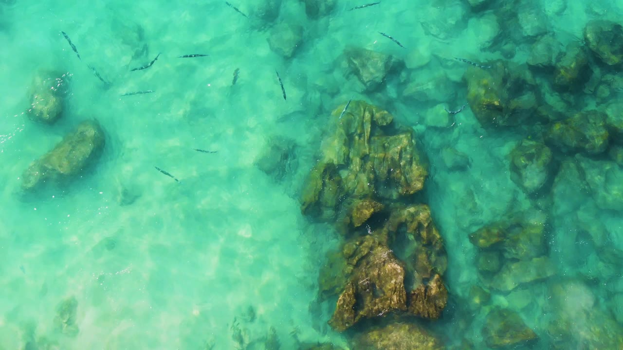 Overhead frame from Buzzards Beach East Cape BCS Mexico showing a central brown-green rock cluster, pale sandy seabed, small dark fish, and no visible people.