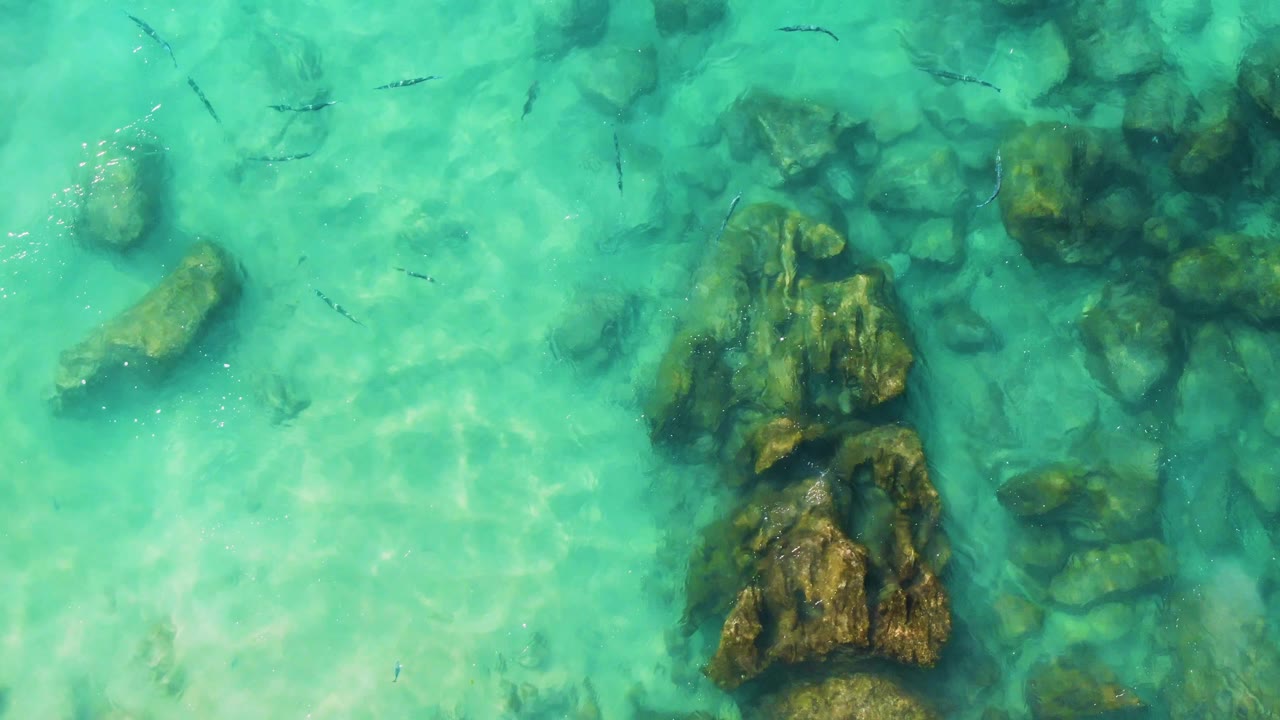 Overhead view at Buzzards Beach East Cape BCS Mexico with darker submerged rocks across the upper frame, a larger rock mass below, scattered small fish, and no visible people.
