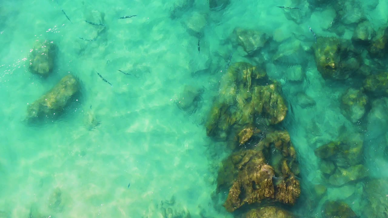 Shallow turquoise water with rocks, fish, and soft ripples over the surface.