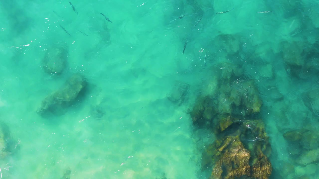 Overhead frame at Buzzards Beach, East Cape BCS Mexico, showing a larger dark rock cluster under turquoise water, scattered small fish, soft surface ripples, and no visible people.