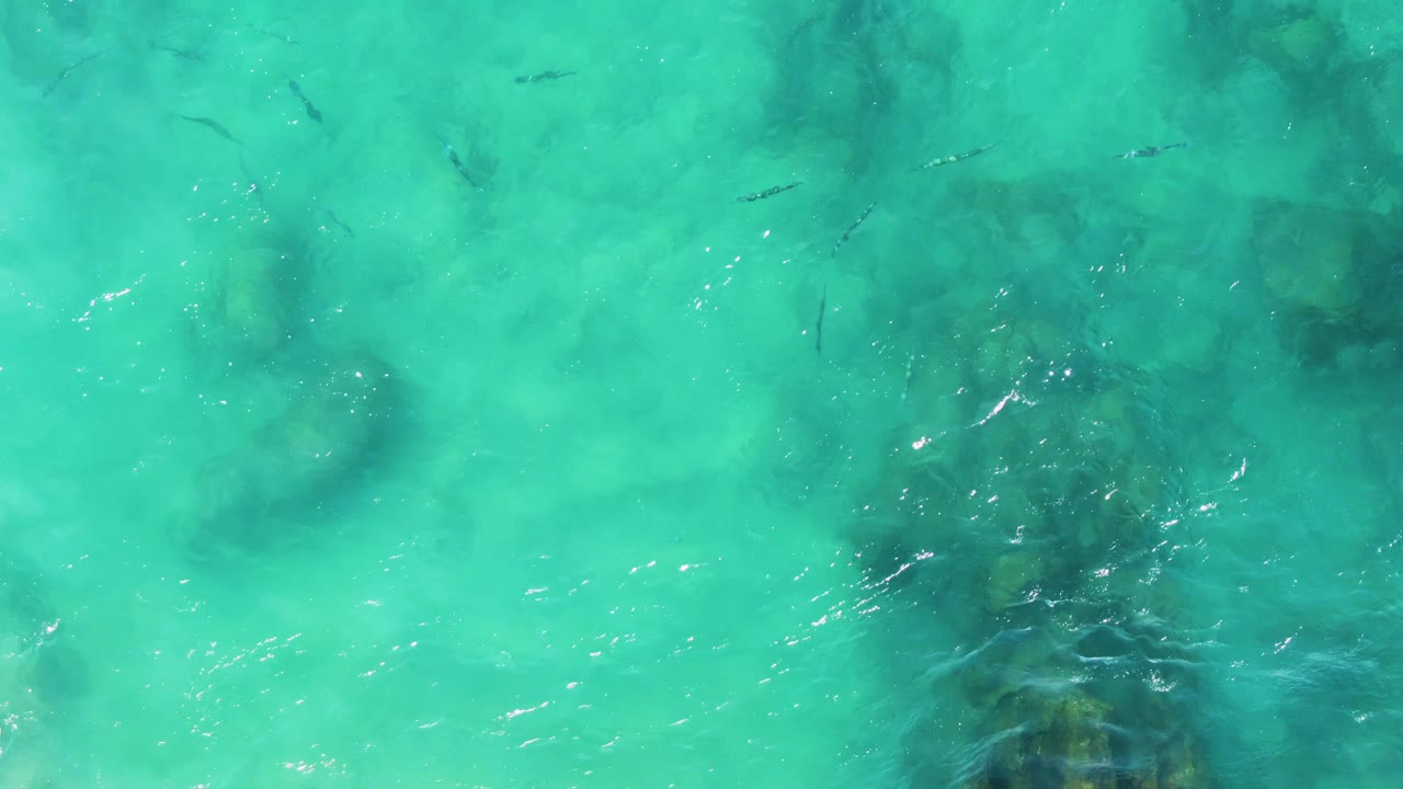 Top-down view at Buzzards Beach, East Cape BCS Mexico, with diffuse turquoise water, darker rock forms below the surface, several small fish silhouettes, and no visible people.