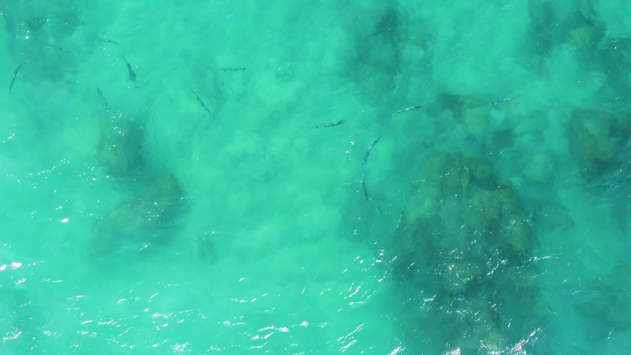 Aquamarine water with fish and submerged rocks