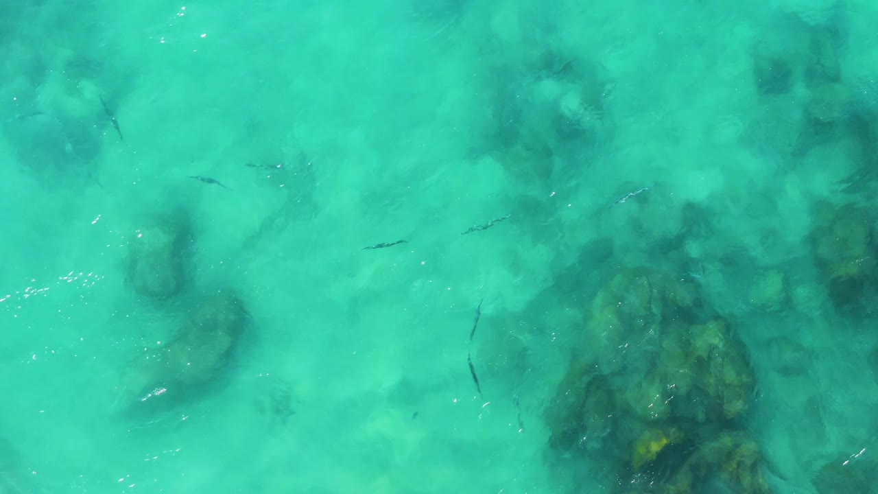 Top-down view of turquoise shallow water at Buzzards Beach East Cape BCS Mexico, with dark rocks below the surface, small fish near the left side, and no visible people.