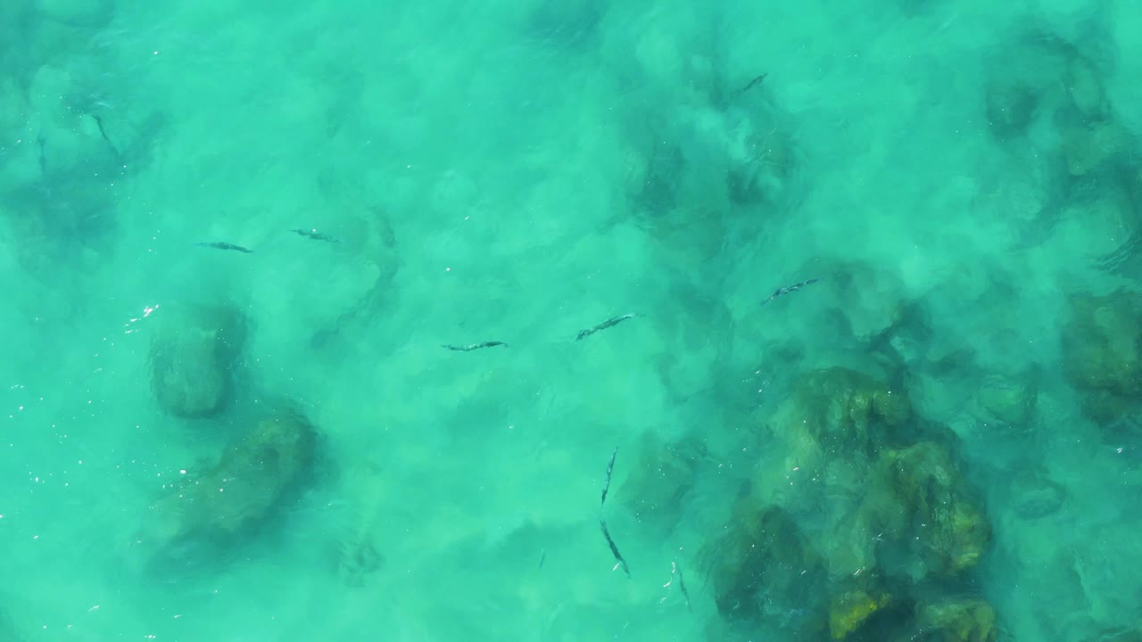 Clear turquoise water over a dark rocky seabed with scattered small fish