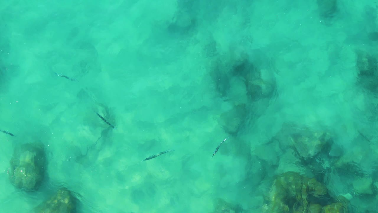 Small fish appear farther across the overhead frame as green-blue water reveals scattered seabed rocks at Buzzards Beach East Cape BCS Mexico, with no visible people.