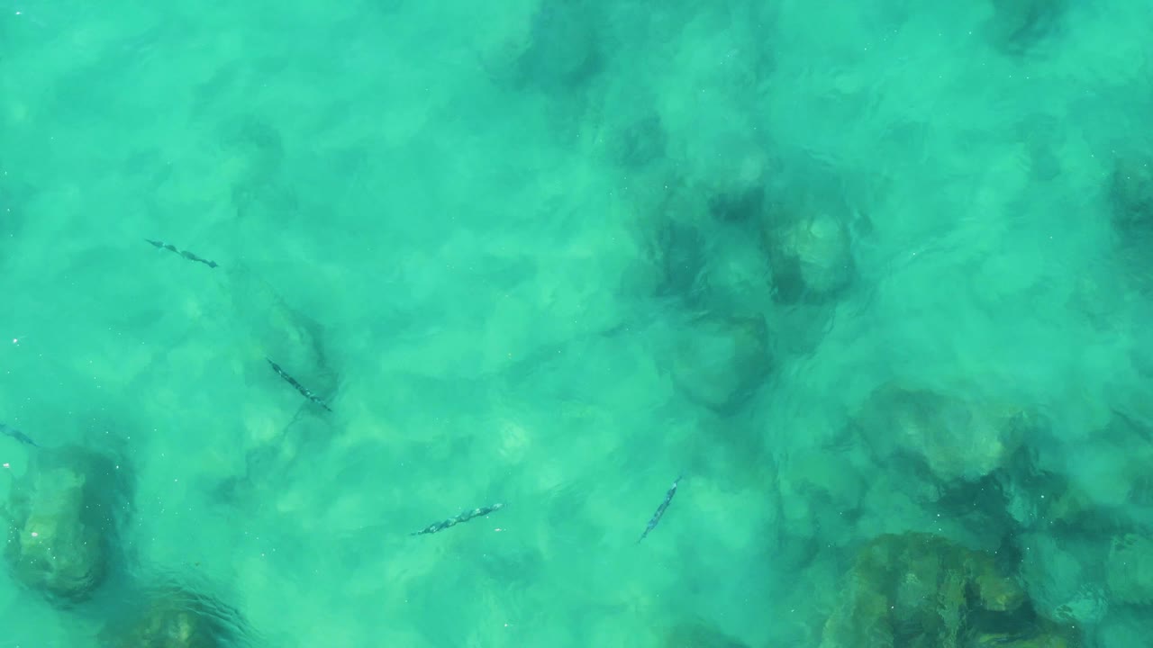 An overhead frame shows clear turquoise water, darker rock formations below, and several small fish moving through the open water at Buzzards Beach East Cape BCS Mexico, with no visible people.