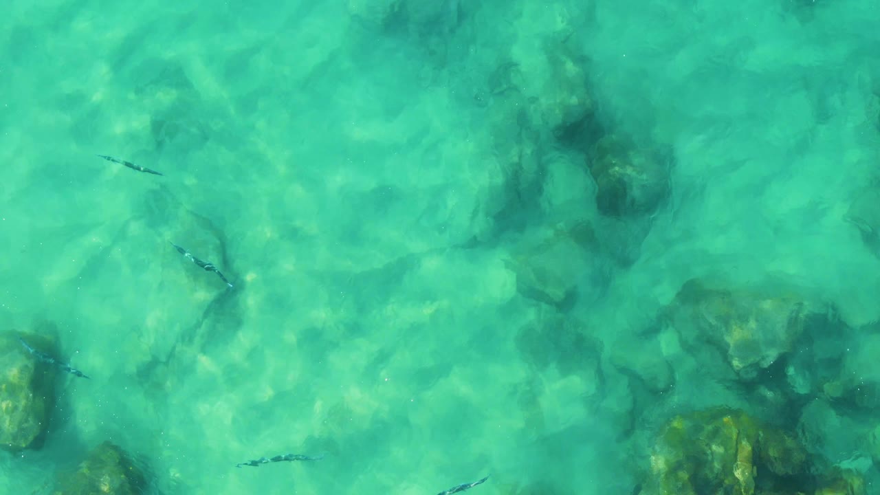 Overhead frame of clear turquoise water at Buzzards Beach East Cape BCS Mexico, with dark seabed rocks and several small fish visible, no visible people.