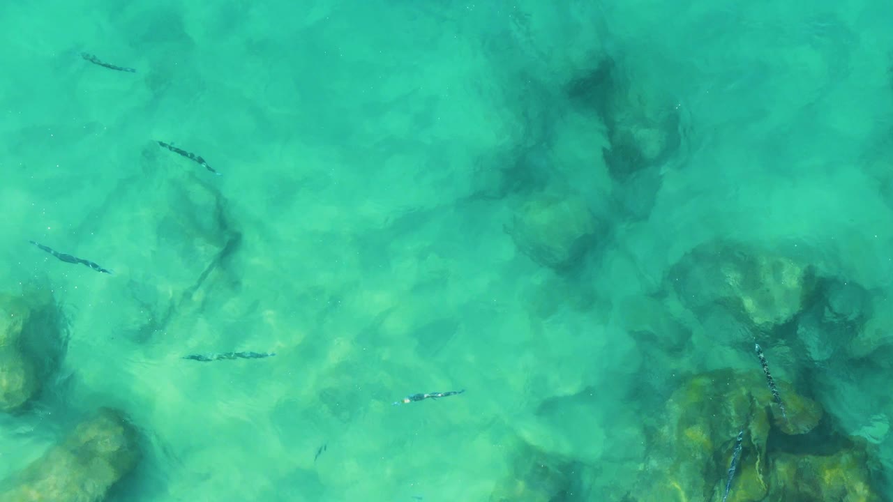 Clear turquoise water fills the frame at Buzzards Beach East Cape BCS Mexico, with fish lines visible near darker submerged rocks and no visible people.