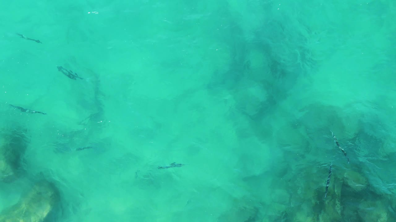 Overhead frame from Buzzards Beach East Cape BCS Mexico showing calm turquoise water, faint surface glare, dark seabed rocks, and small fish with no visible people.