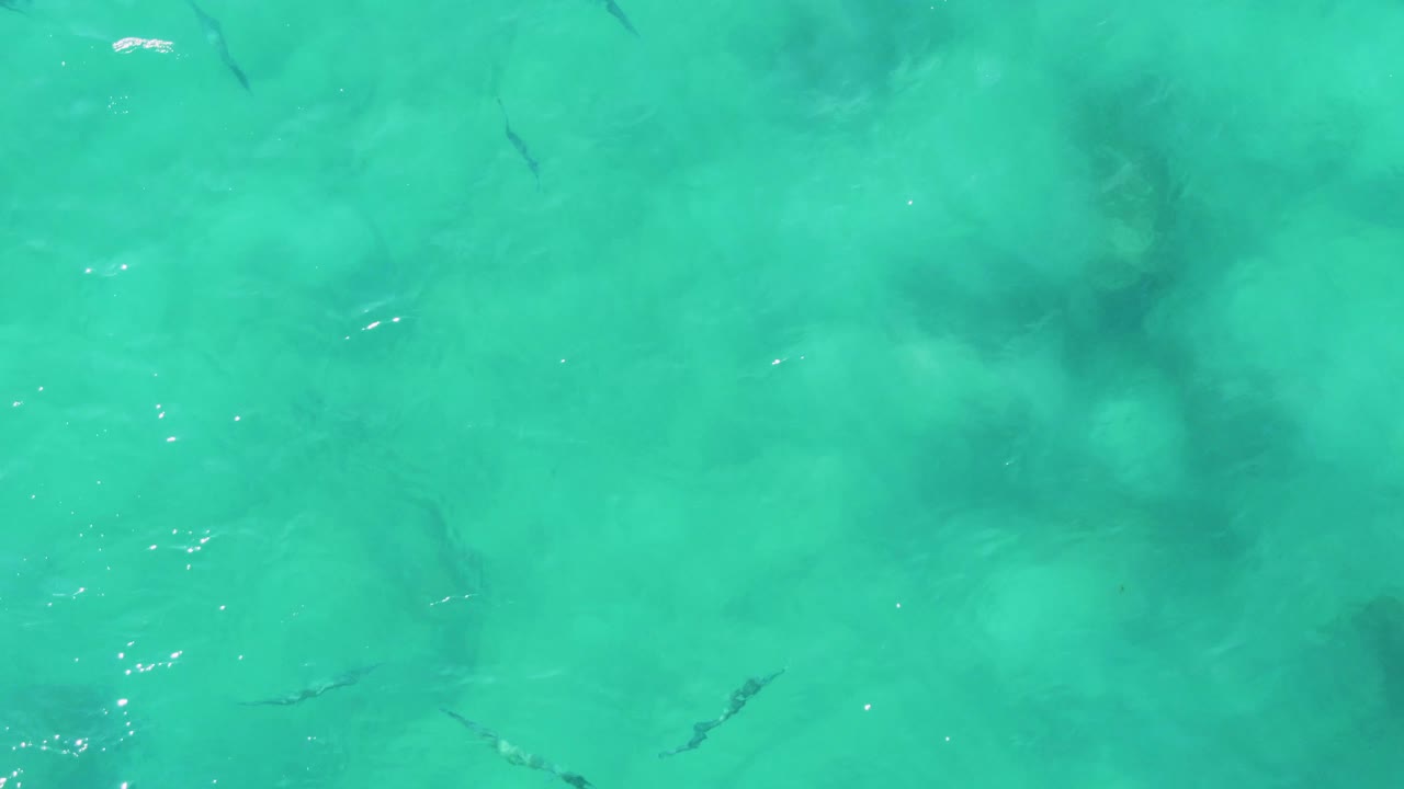 Clear turquoise water with faint fish and mottled seabed below.