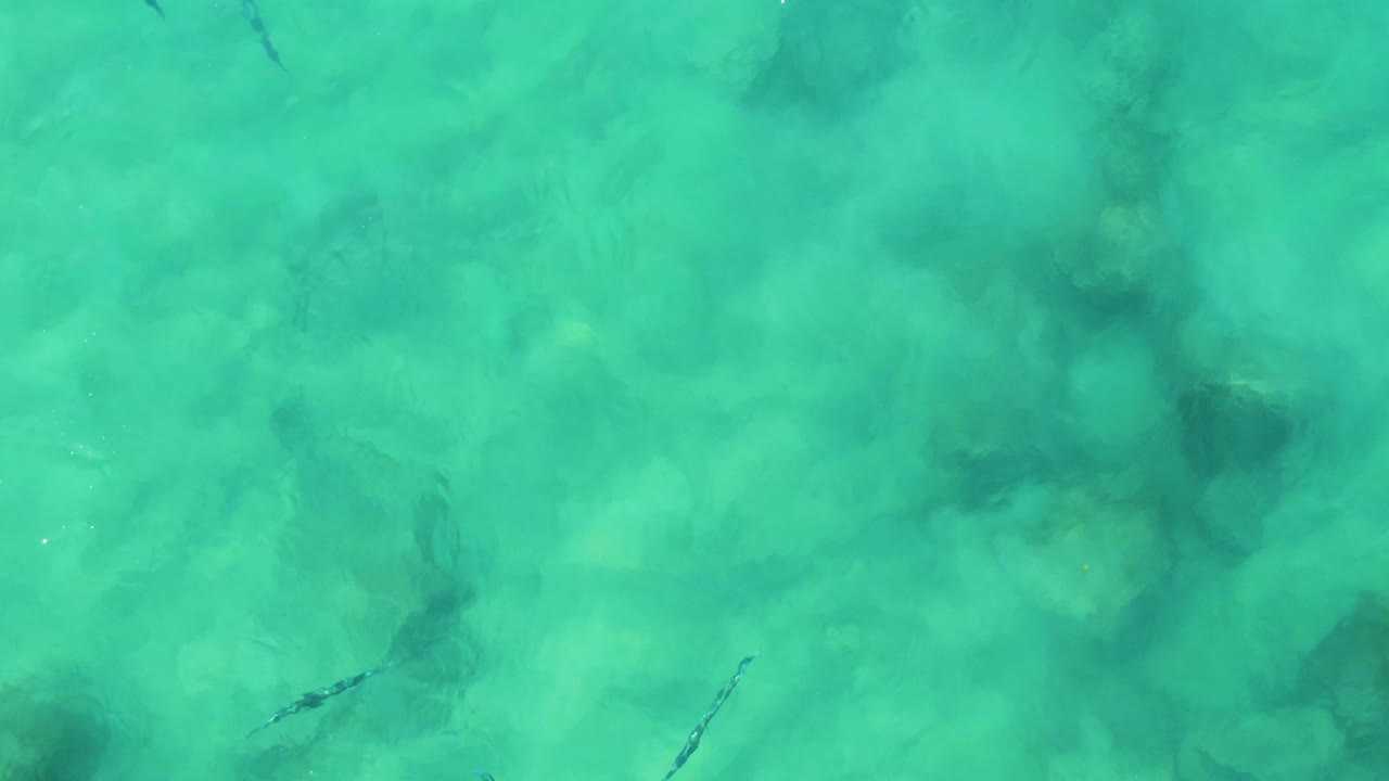 Small fish move through clear turquoise water above sand and scattered rocks at Buzzards Beach East Cape BCS Mexico, with no visible people.