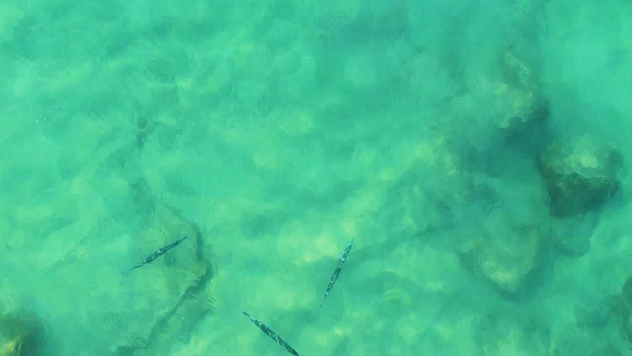 Several small fish appear over pale sand and rounded underwater rocks in the turquoise shallows at Buzzards Beach East Cape BCS Mexico, with no visible people.