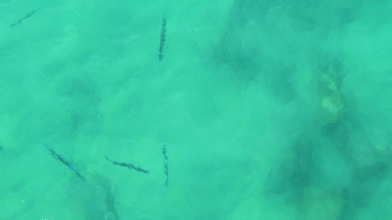 Several small fish appear near shadowy submerged rocks in turquoise water at Buzzards Beach East Cape BCS Mexico, with no visible people.