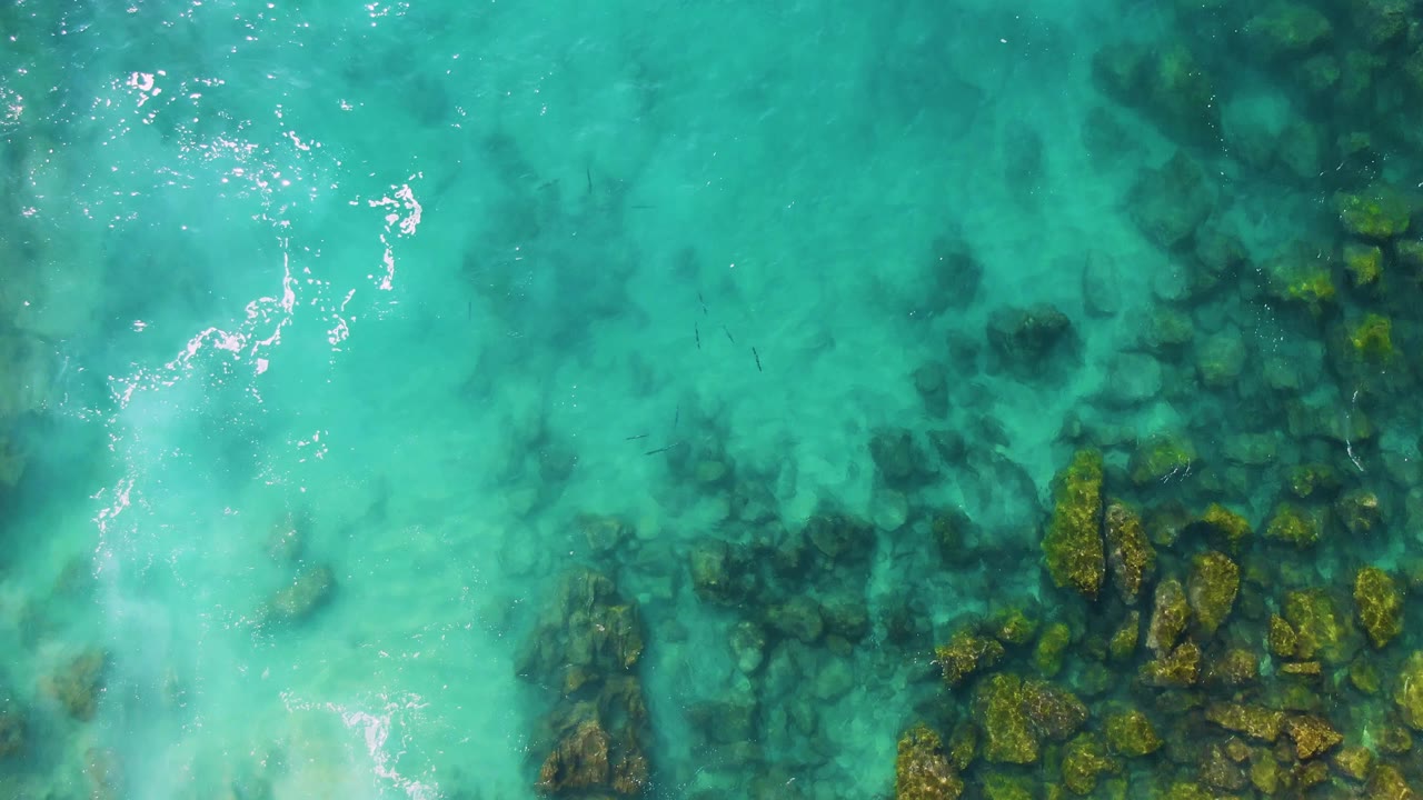 Turquoise shallow water over submerged rocks and small fish