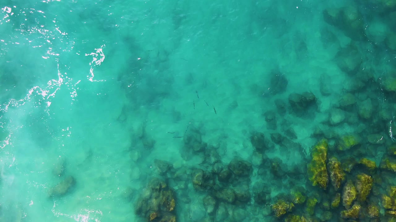Overhead view at Buzzards Beach East Cape BCS Mexico with pale turquoise shallows, submerged rocks entering from the lower right, faint fish shapes near midframe, and no visible people.