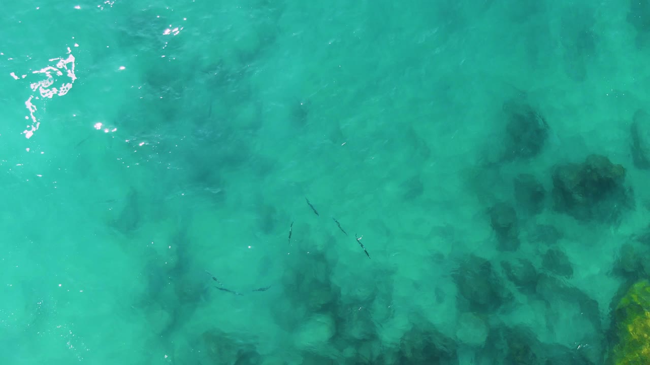 Opening overhead frame from Buzzards Beach East Cape BCS Mexico showing clear turquoise shallow water, darker seabed patches, a few small fish shapes, sun glints, and no visible people.