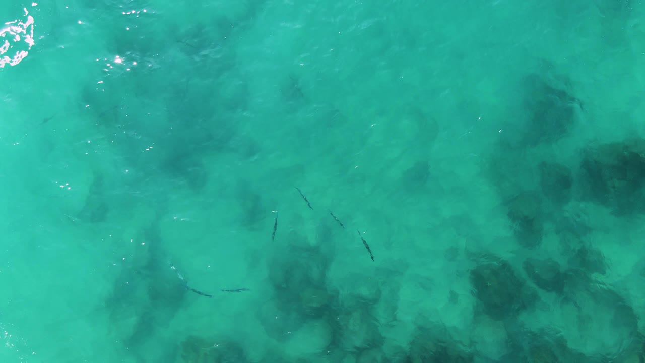 At one second, the aerial view shows small dark fish crossing clear turquoise water above scattered darker rock or coral formations, with no visible people.