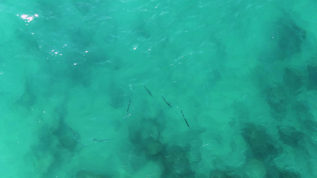 At two seconds, clear shallow water fills the frame with several thin fish shapes near the center and mottled dark seabed patches beneath the turquoise surface, with no visible people.