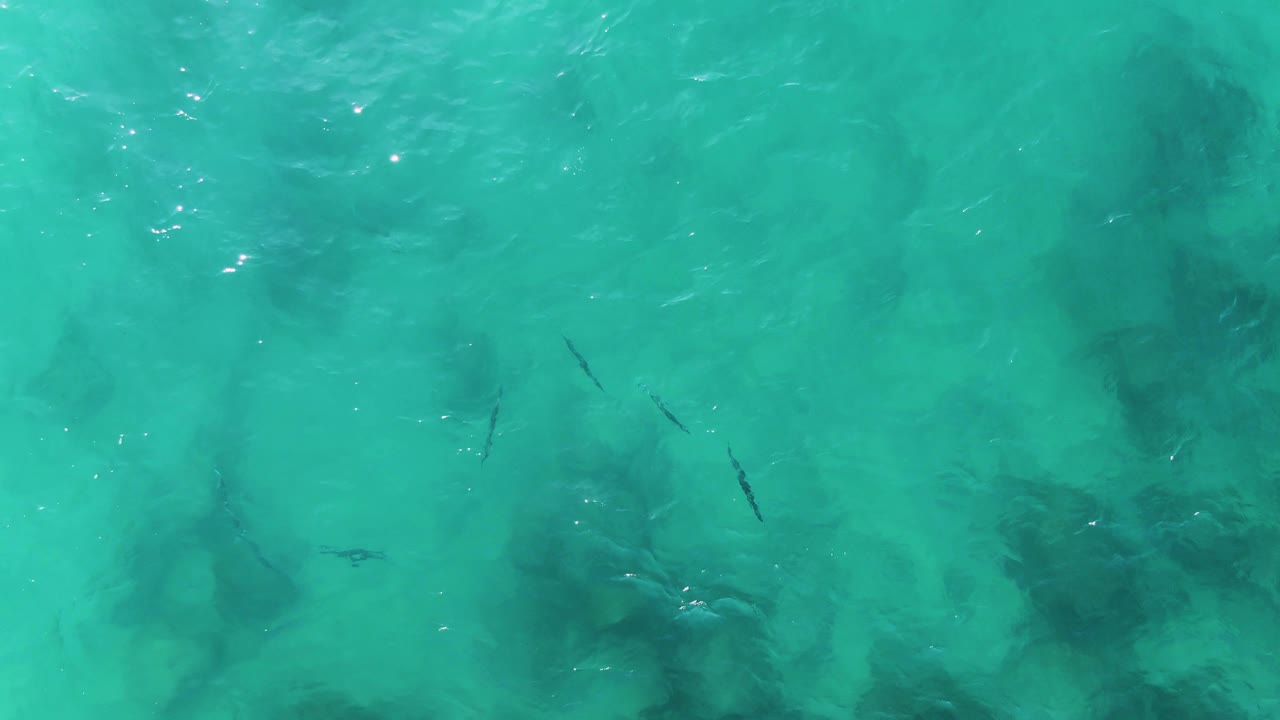 At three seconds, bright surface glints appear over turquoise water while small fish and darker bottom formations remain visible through the shallow ocean, with no visible people.