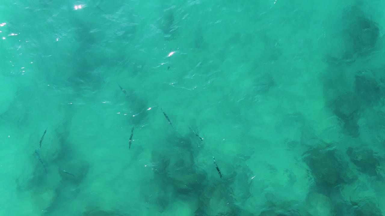 Top-down view at Buzzards Beach East Cape BCS Mexico showing small dark fish over turquoise shallow water, submerged rocks, surface glints, and no visible people.