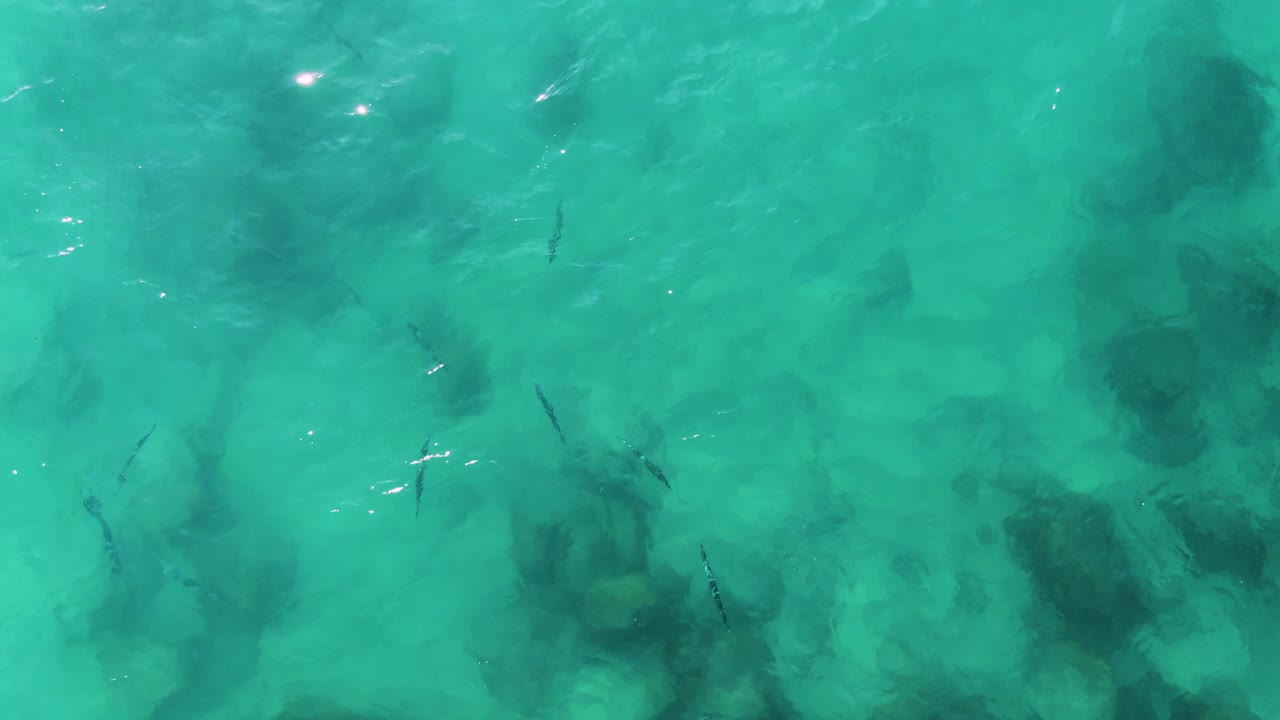 A second top-down frame shows small fish spread across clear turquoise water at Buzzards Beach East Cape BCS Mexico, with darker rock patches below and no visible people.