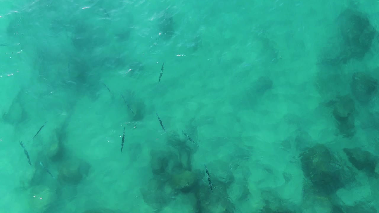 Small fish appear over darker submerged rock shapes in shallow turquoise water at Buzzards Beach East Cape BCS Mexico, with bright surface reflections and no visible people.
