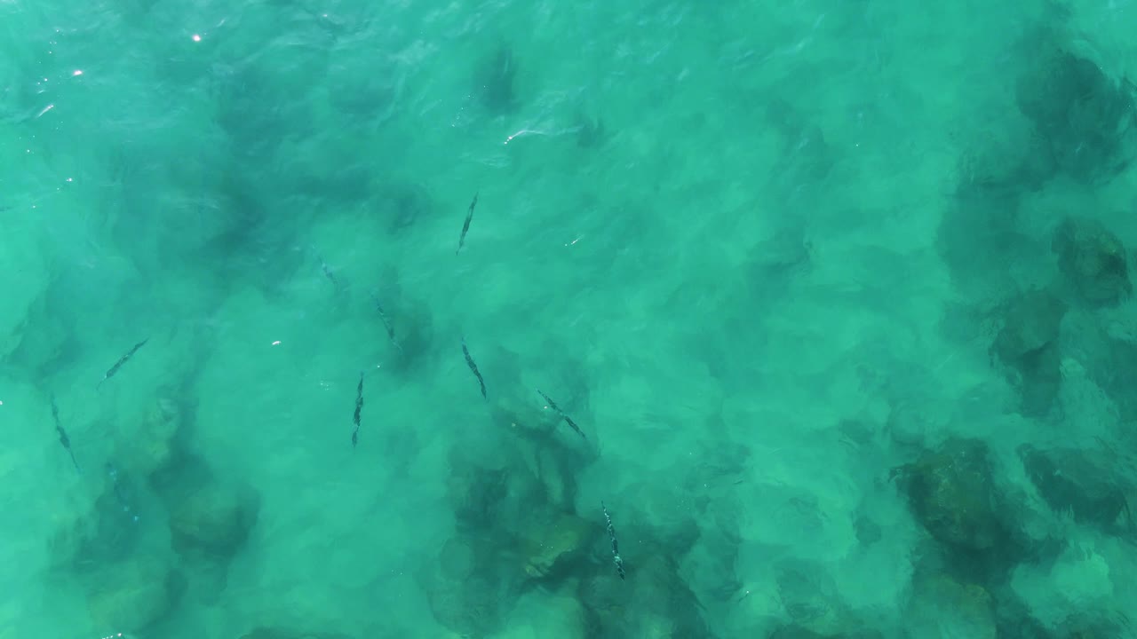 Clear shallow water with fish and rocky seabed
