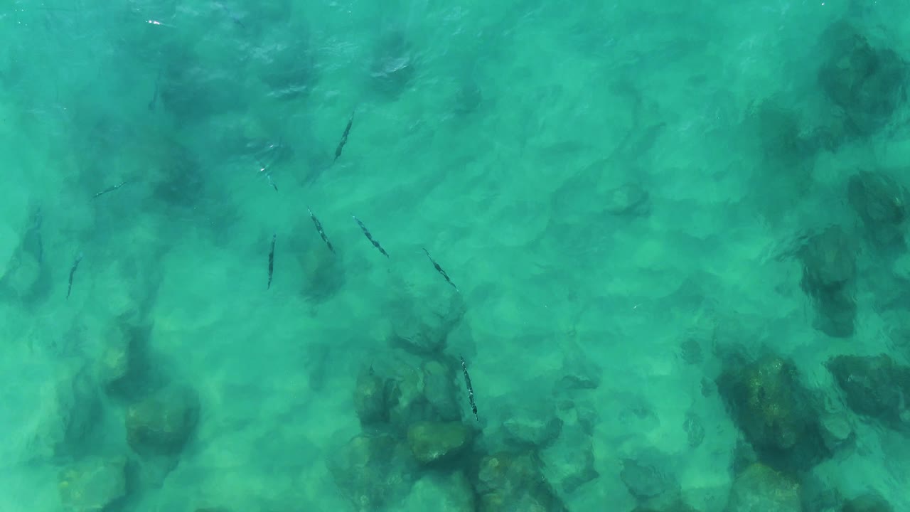 Overhead view at Buzzards Beach East Cape BCS Mexico showing small fish crossing clear turquoise water above dark submerged rocks, with no visible people.