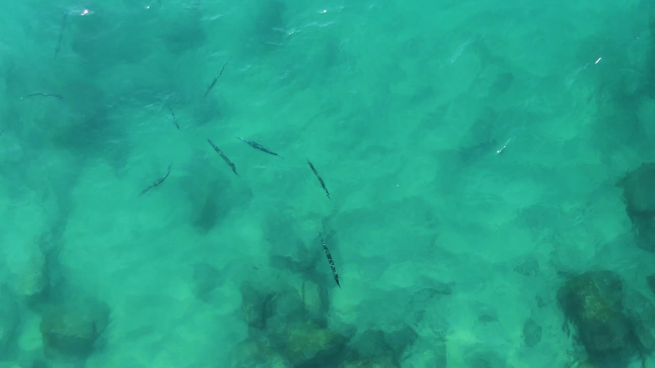 Small fish are visible over pale sandy bottom and dark submerged rocks in clear turquoise water at Buzzards Beach East Cape BCS Mexico, with no visible people.