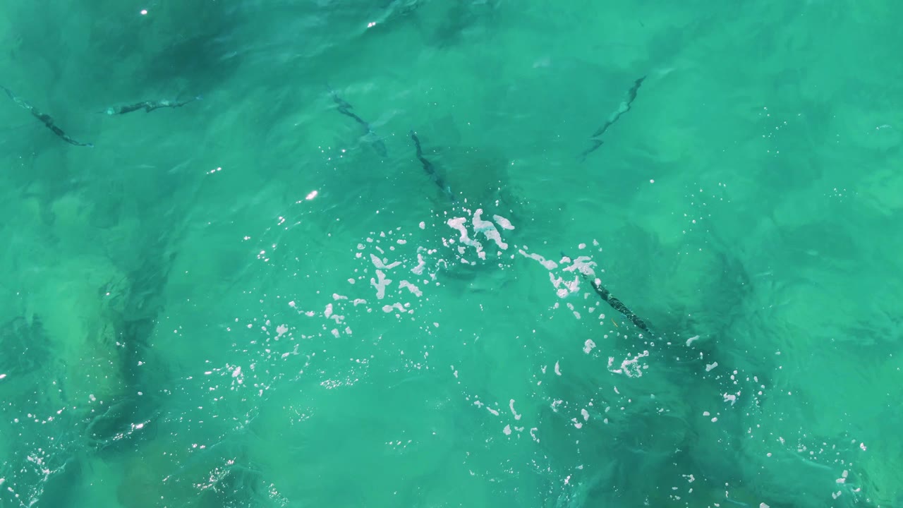 Clear green-blue water at Buzzards Beach East Cape BCS Mexico shows fish dispersed below the surface, with a cluster of bright glare on the ripples and no visible people.