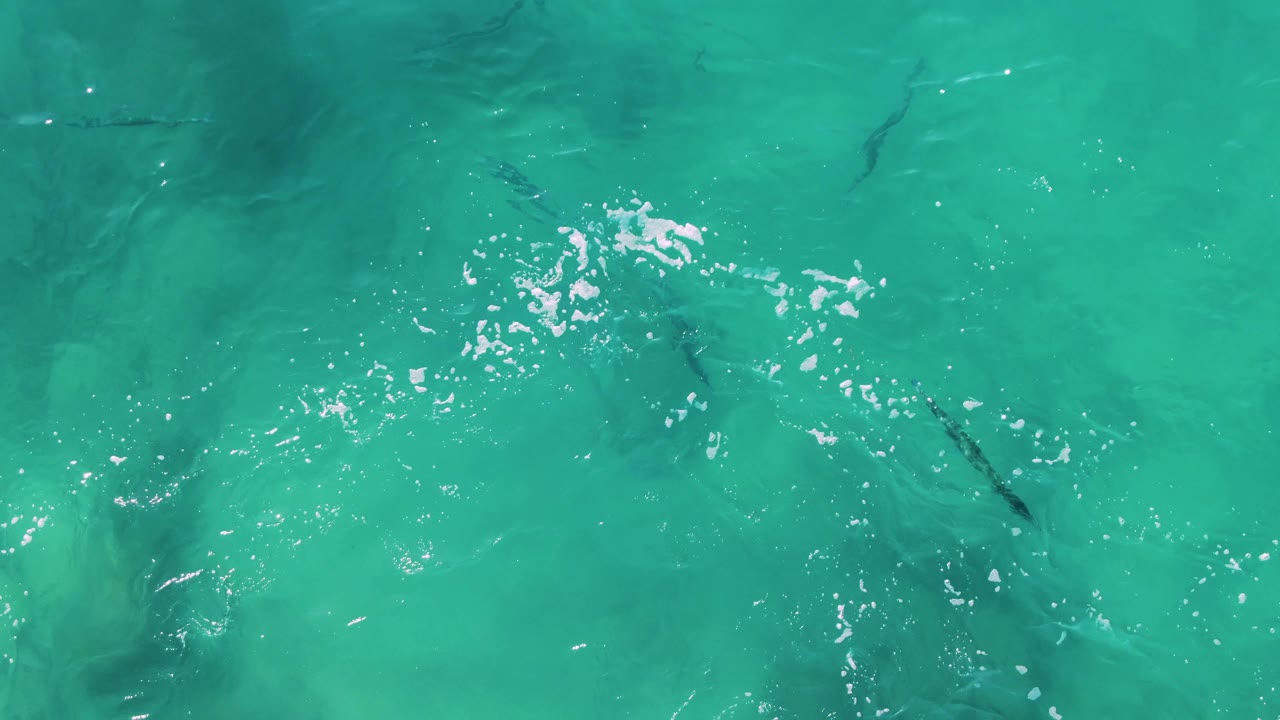 Aerial-style overhead frame from Buzzards Beach East Cape BCS Mexico shows fish under turquoise sea ripples, with a bright reflection patch near the lower left and no visible people.